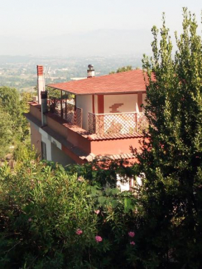 Hotels in Falvaterra